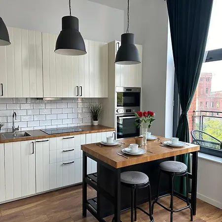 Luxury Loft Tymienieckiego Street Apartment Lodz (Lodz)
